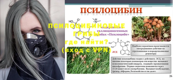 мяу мяу мука Абдулино