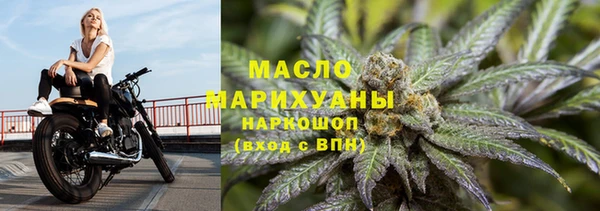 гидра Ельня