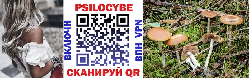 Псилоцибиновые грибы Magic Shrooms  Фурманов 